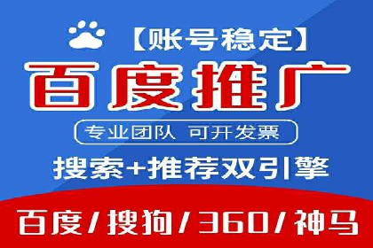 谷歌竞价广告在电商行业的运用案例