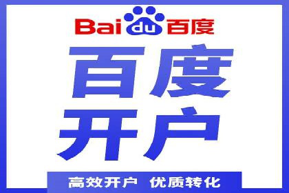 大型SEM服务公司案例分析